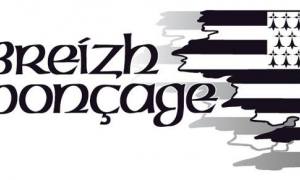 Logo systeme guilers
